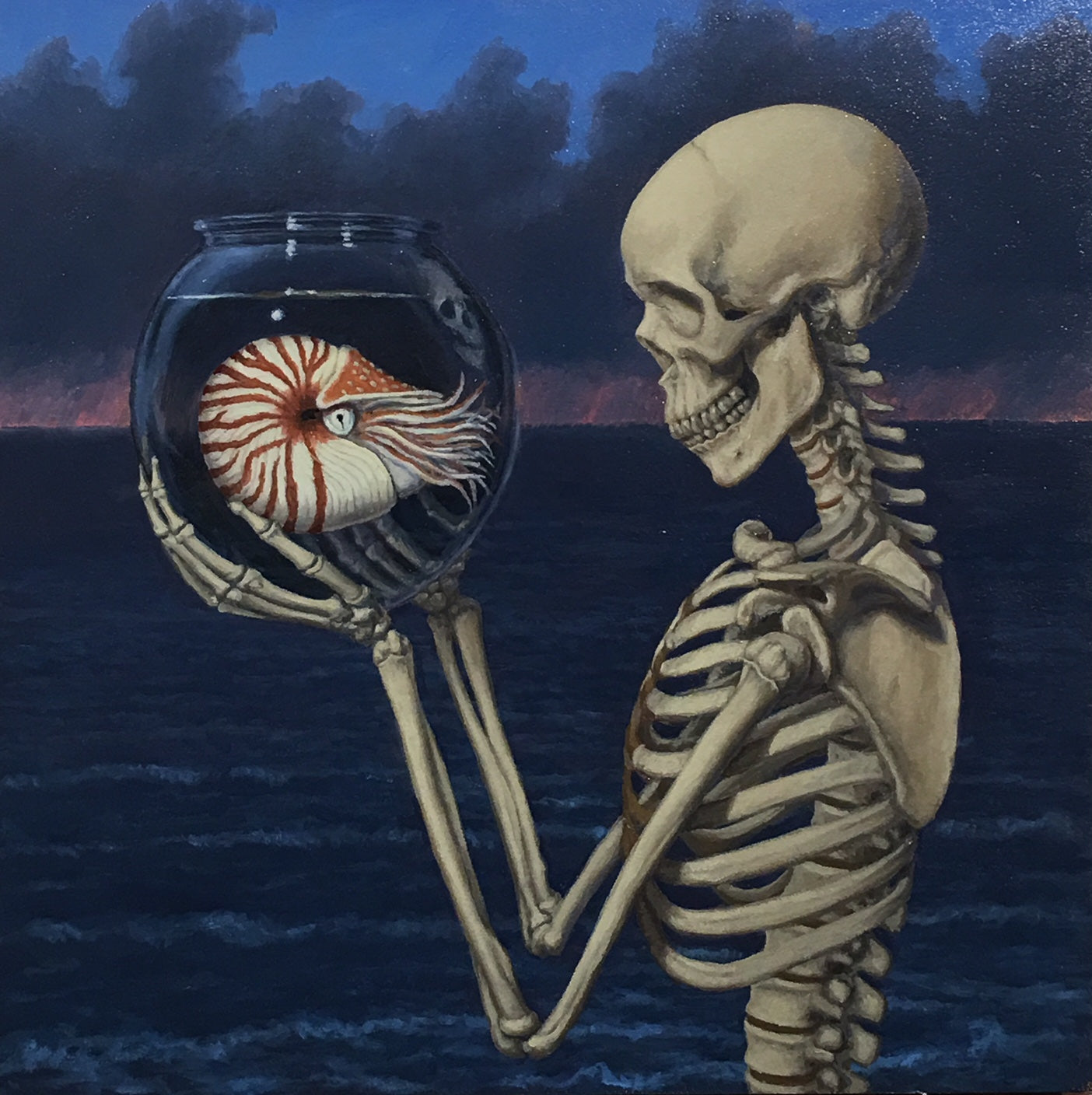 Death and Nautilus